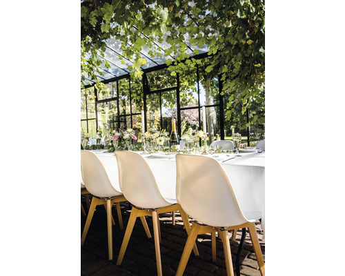 Table dressée pour une fête dans une serre avec des chaises