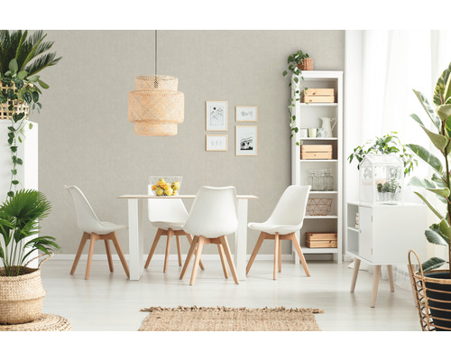 Salle à manger lumineuse avec table, chaises, étagère et plantes pour une ambiance conviviale.