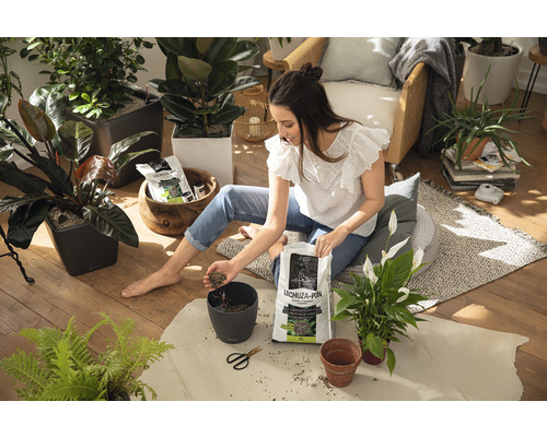 Une femme rempote des plantes d''intérieur avec du substrat de plantation Lechuza Pon dans une ambiance de vie lumineuse.