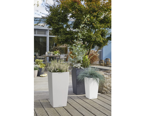 Trois bacs à plantes hauts avec des plantations sur une terrasse en bois