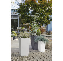 Trois bacs à plantes hauts avec des plantes sur une terrasse en bois.