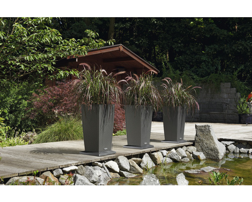 Trois pots de fleurs avec des graminées ornementales sur une terrasse en bois près d''un étang dans le jardin.
