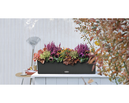 Jardinière avec différentes plantes sur une terrasse