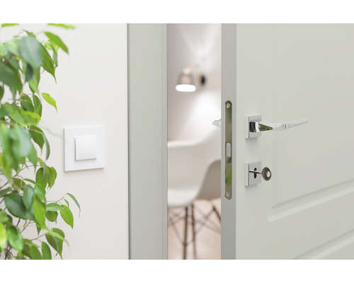 Detailansicht einer Innentür mit Türgriff und Schlüssel, daneben ein Lichtschalter und eine Zimmerpflanze