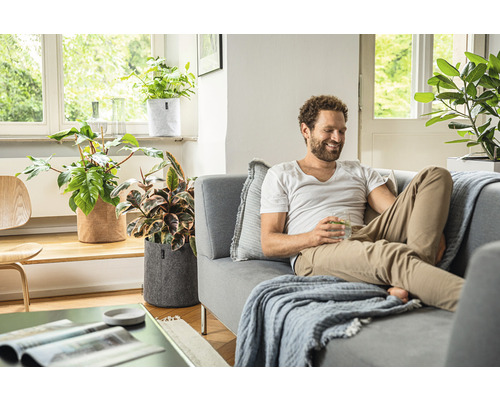Salon avec homme sur canapé et plantes dans des pots en feutre