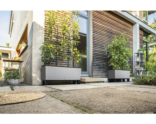 Szene mit zwei grauen Pflanzkästen mit Rankhilfen vor einem Haus.