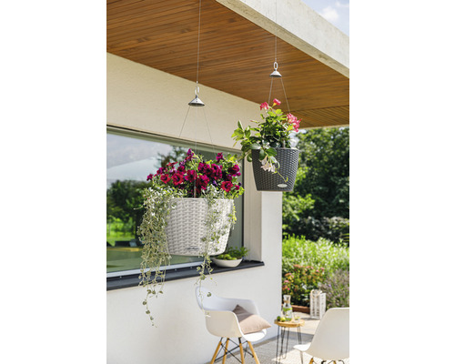 Scène avec deux jardinières suspendues avec des fleurs à l''extérieur