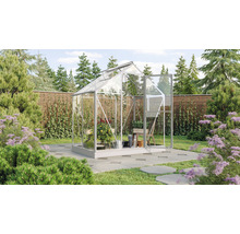 Serre avec plantes et outils de jardin dans le jardin