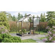 Serre avec plantes dans le jardin