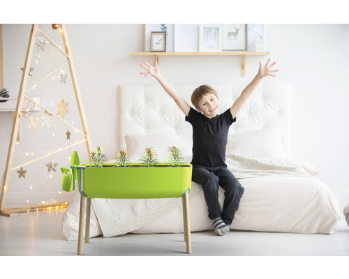 Chambre avec serre d''intérieur, plantée et sur pieds, avec enfant