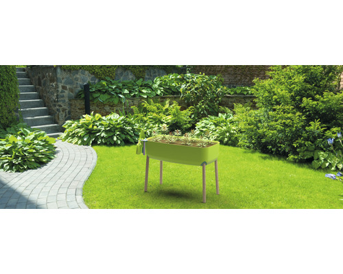 Jardinière surélevée avec des plantes dans le jardin