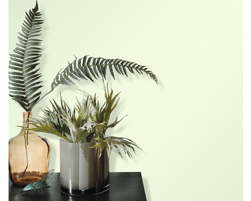 Plantes d''intérieur décoratives dans des vases sur une table