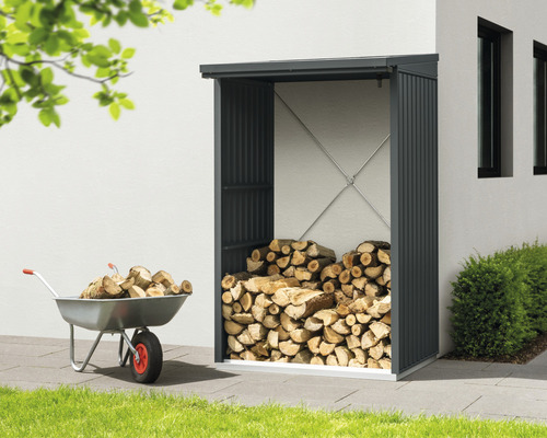 Abri à bois avec bois de chauffage et brouette dans le jardin