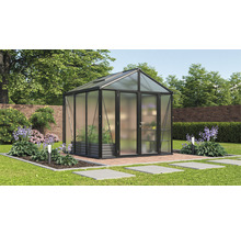 Gewächshaus Vitavia Zeus Comfort 6200 Hohlkammerplatten 16 mm 258 x 242 cm schwarz