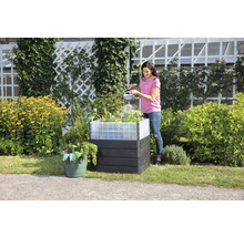 Carré potager classique GARANTIA ERGO Quadro Turbo M 75 avec système d'économie d'eau Flora 80 x 60 x 75 cm wood anthracite marron