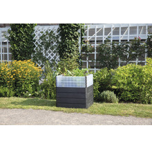 Carré potager classique GARANTIA ERGO Quadro Turbo M 75 avec système d'économie d'eau Flora 80 x 60 x 75 cm wood anthracite marron