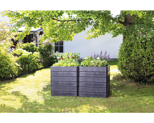 Zwei dunkle Pflanzkästen aus Holz im Garten, bepflanzt mit Gemüse und Kräutern