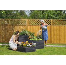 Carré potager classique GARANTIA ERGO Vario 1 avec système d'économie d'eau Flora 190 x 190 x 50 cm wood
