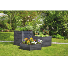 Carré potager classique GARANTIA ERGO Vario 1 avec système d'économie d'eau Flora 190 x 190 x 50 cm wood