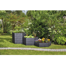 Carré potager classique GARANTIA ERGO Vario 1 avec système d'économie d'eau Flora 190 x 190 x 50 cm wood