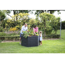 Carré potager classique GARANTIA ERGO carré potager XL 75 avec système d'économie d'eau Flora 145 x 145 x 75 cm stone