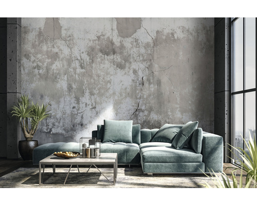 Salon avec canapé modulable, table basse et plantes d''intérieur devant un mur en béton
