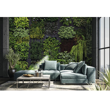 Salon avec mur végétalisé, canapé et table basse pour une ambiance naturelle