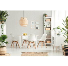 Salle à manger lumineuse avec table, chaises, étagère et plantes d''intérieur