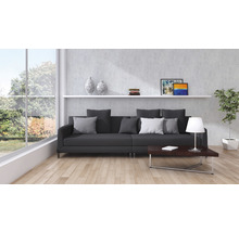 Wohnzimmer mit Sofa, Couchtisch, Regal und Zimmerpflanze