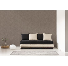 Une pièce avec un papier peint intissé marron, un futon et des décorations.