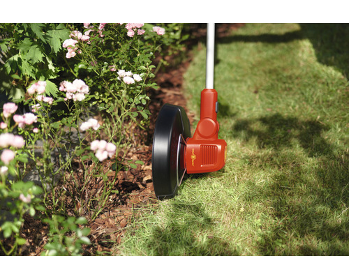 Rasentrimmer im Einsatz neben Blumenbeet