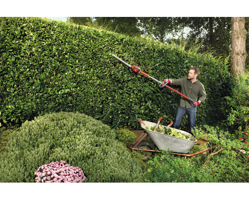 "Homme taillant une haie avec un taille-haie sur perche