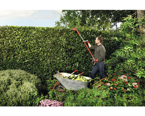 Un homme taille une haie avec un taille-haie sans fil, tandis qu''une brouette est prête à recevoir les branches.