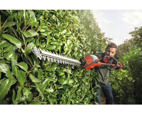 Un homme coupe une haie avec un taille-haie.