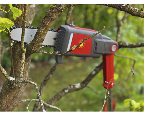 Élagueuse à chaîne sans fil coupant une branche