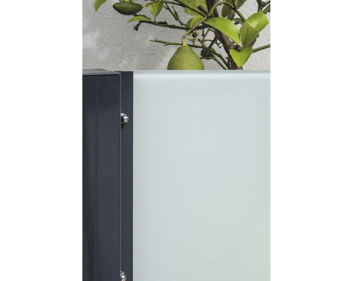 Vue détaillée d''un élément de clôture avec insert en verre opaque et une plante