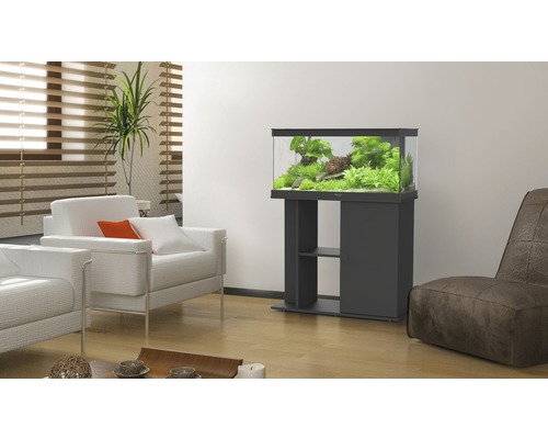 Salon avec aquarium sur meuble bas