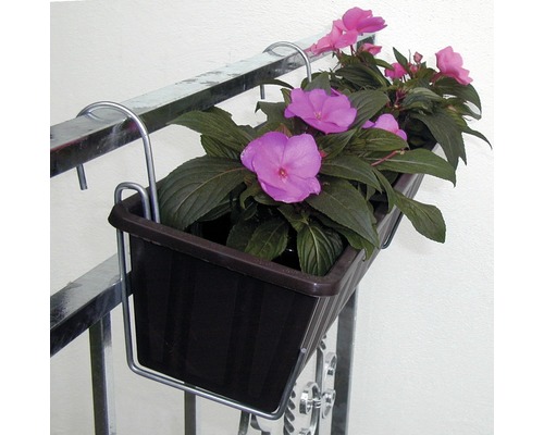 Balkonkasten mit Blumen auf einem Geländer