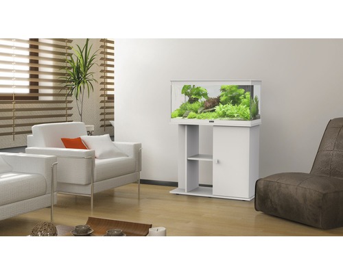 Aquarium avec meuble bas et plantes aquatiques dans le salon