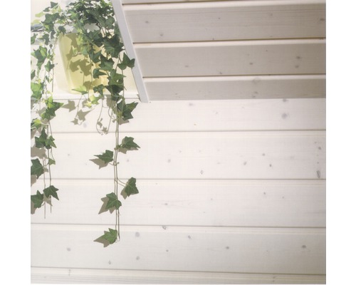 Ecke eines hellen Zimmers mit Holzvertäfelung und Hängepflanze