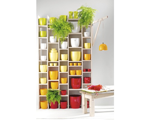 Étagère avec pots de fleurs de différentes tailles et couleurs, avec des plantes et une lampe