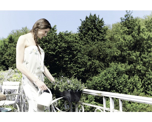 Femme arrosant des fleurs dans une jardinière avec un arrosoir.