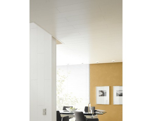 Panneau de décoration Trendy Duo blanc cristal 10x200x1200 mm Panneau de décoration Trendy Duo blanc cristal 10x200x1200 mm