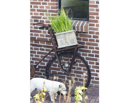 Mini-bassin 'Old Dutch' FloraSelf avec plantes et anneau de culture inclus, caisse en bois 40 cm