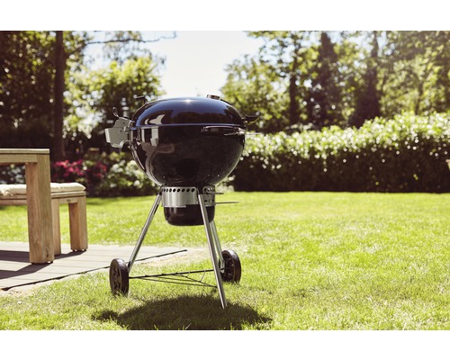 Barbecue sur une pelouse dans le jardin