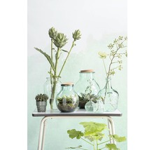 Récipients décoratifs en verre avec des plantes sur une table