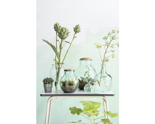 Récipients décoratifs en verre avec des plantes sur une table