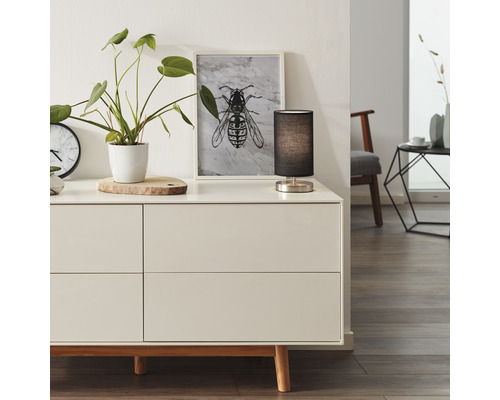 Salon avec commode, lampe de table, plante d''intérieur et tableau