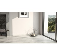 Heller Raum mit Kamin, Bild und Dekoration