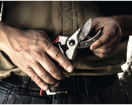Eine Person hält eine Gartenschere in ihren Händen.